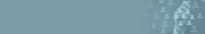 spark header clients new blue 300x50