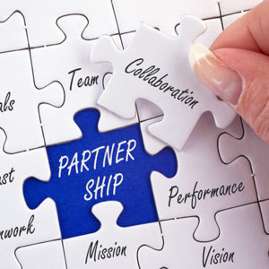 category 2 partnership 300x300